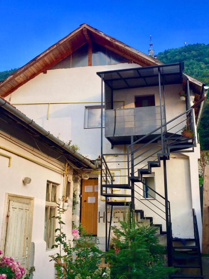 Downtown Hostel Braşov Buitenkant foto