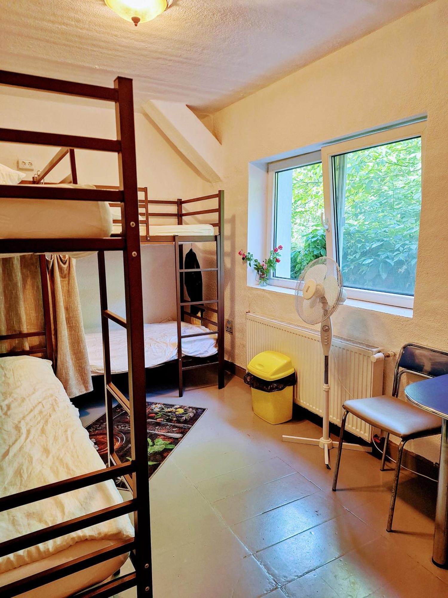 Downtown Hostel Braşov Buitenkant foto