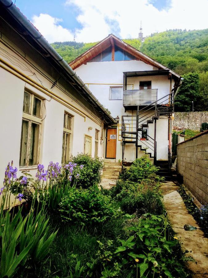 Downtown Hostel Braşov Buitenkant foto